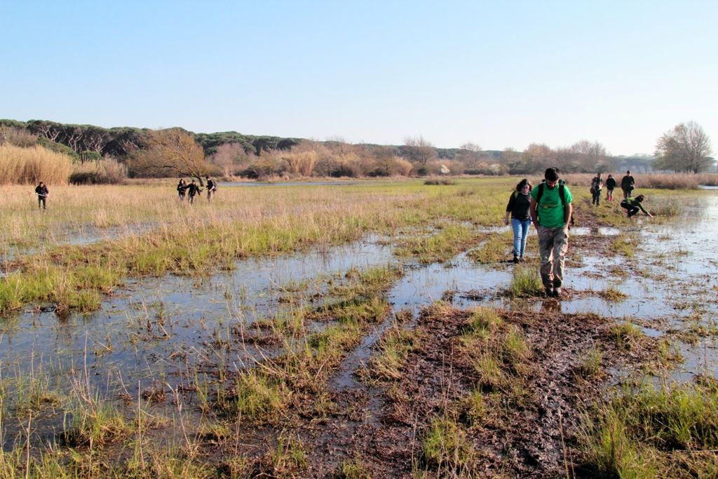 VOLONTANFIBI 2014: Parco Regionale MSRM